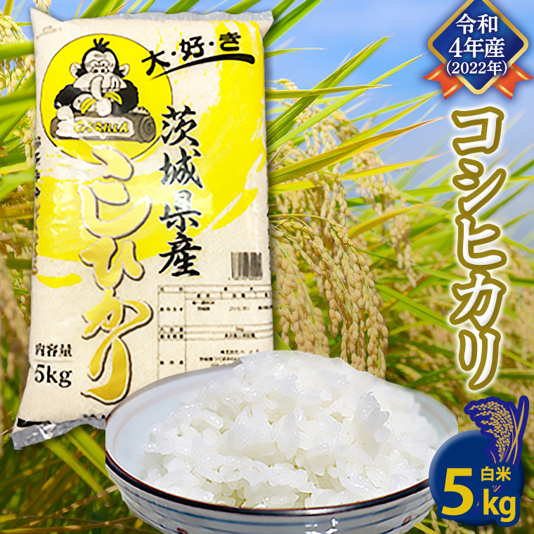 《 12 16入金確認分まで 年内配送 》  コシヒカリ 白米 5kg 米 お米 コメ おいしい 茨城県産 精米 国産 ブレンド 白米 こしひかり [AO21-NT]