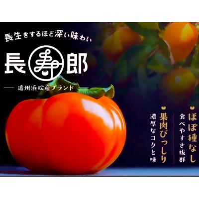 ふるさと納税 浜松市 テルの次郎柿『長寿郎』10玉〜16玉入り(3L〜M)※早期終了有り