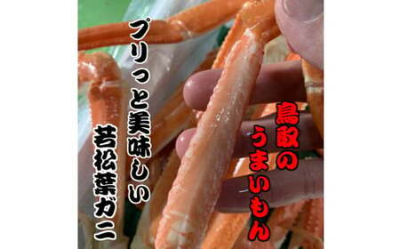 訳あり ボイル若松葉ガニ カニ4尾分8肩（足１～２本なし含む）かに カニ 蟹 ボイル 新鮮 かに カニ 蟹 松葉ガニ 松葉がに かに カニ 蟹 ボイル