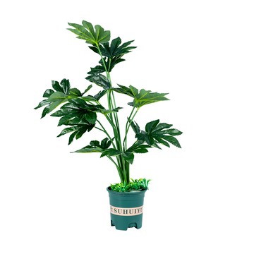 【dayneeds】仿真花藝-中盆栽系列 / 清雅楓韻(2款可選)大綠楓盆栽