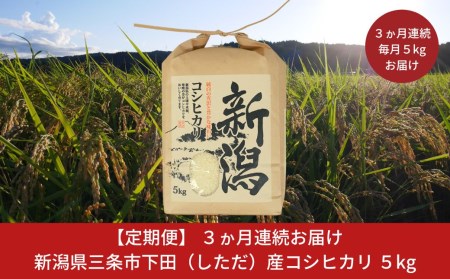 [新米 定期便5kg×3か月] コシヒカリ 5kg 新潟県三条市下田産 こしひかり 令和5年産米 3か月連続でお届け 白米 精米 お米 