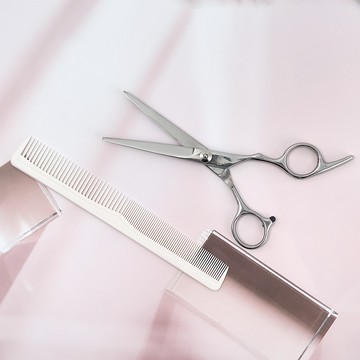 SUNDEN專業不鏽鋼美髮剪+無痕不鏽鋼打薄剪+髮梳-2件組