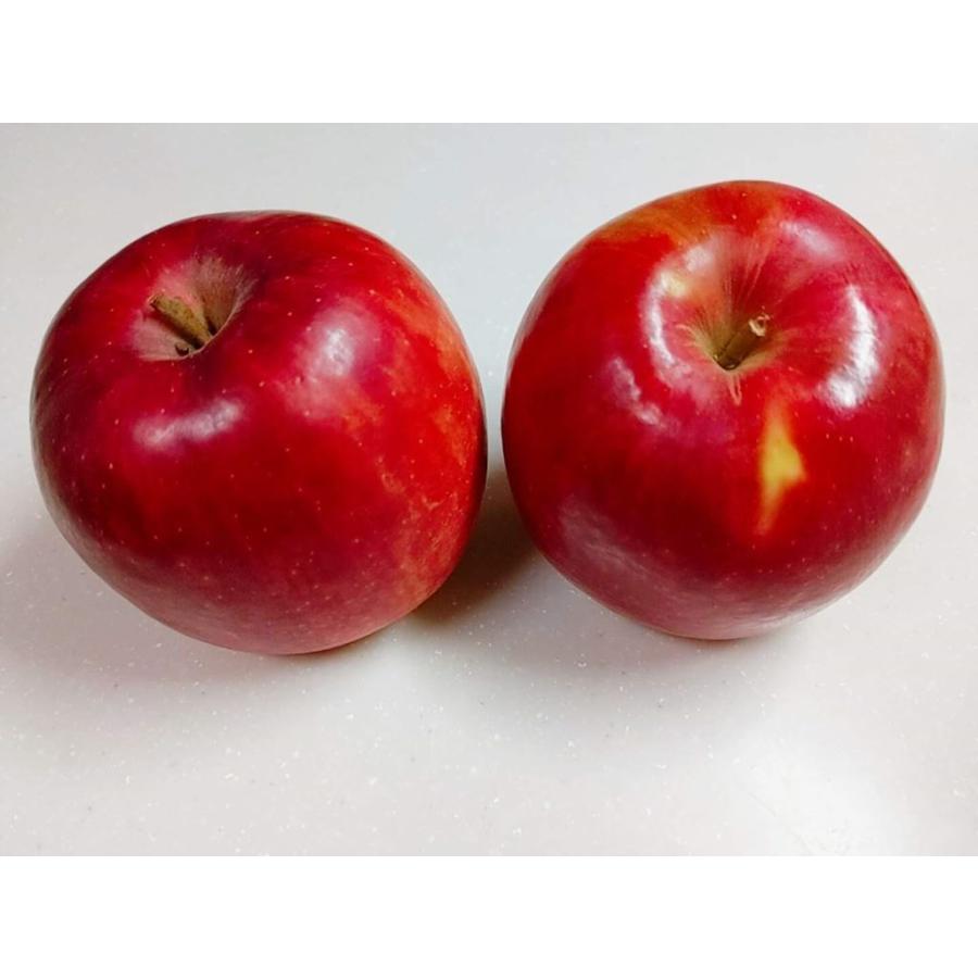 りんご  小玉リンゴ 毎日ちびリンゴ ミニサイズ 1ヵ月分チェックシート付 サンふじ 約5kg 24個 山形県 家庭用 《12 上旬〜12 中旬より出荷》