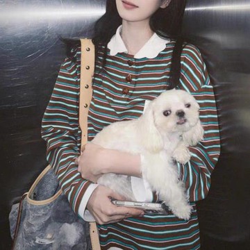白鹿同款條紋拼色花瓣領長袖T恤女早秋慵懶風休閑寬松POLO衫上衣