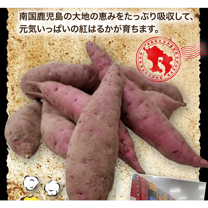 ポイント5倍 鹿児島県産 ぷち紅はるか 5kg サツマイモ 生芋 小さいサイズ  プチ さつまいも 土つき 産地直送 送料無料 S常