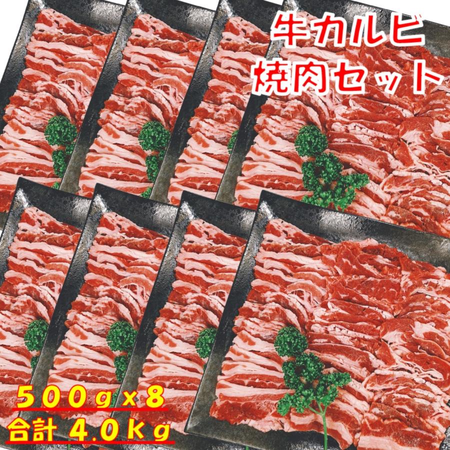 肉 バーベキュー 食材 牛肉 焼肉セット バーベキュー 肉 BBQ 肉 カルビ バラ バーベキューセット 食材 BBQ食材セット BBQ 焼肉 牛丼 4kg 12〜15人前