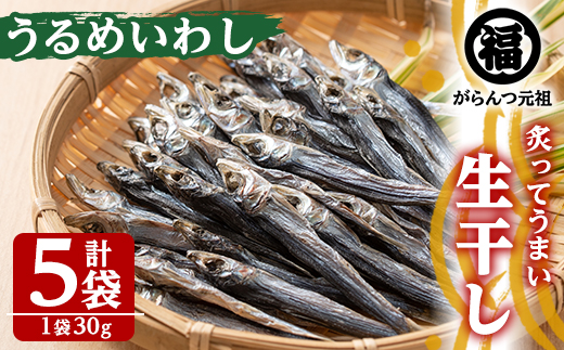 akune-2-208 鹿児島県阿久根市産生干し「うるめいわし」(計5袋・1袋30g)国産 魚介 干物 ひもの イワシ 鰯 がらんつ干物 2-208