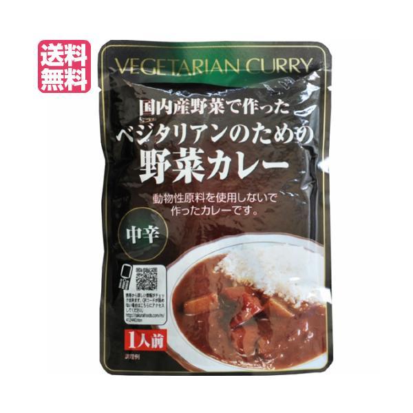 カレー ベジタリアン ビーガン ベジタリアンのための野菜カレー 200g 中辛 桜井食品 送料無料