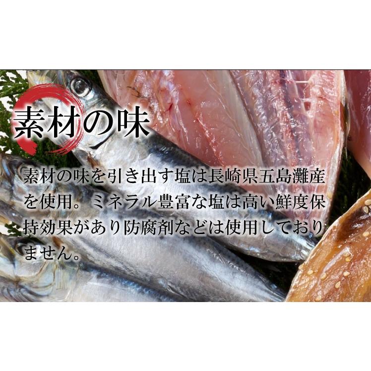 産地直送九州 お取り寄せ 干物 ひもの 食べ比べ 豪華 魚 添加物不使用 無添加 お歳暮 ギフト 贈答 記念 熨斗 帰省暮 送料無料