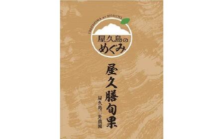 屋久膳旬果『屋久膳たんかん』5kg・混合（M～2Lサイズ おまかせ）