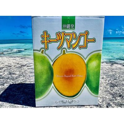 ふるさと納税 久米島町 久米島産キーツマンゴー約1kg