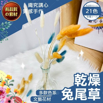 【隔日送達🚀】乾燥兔尾草 兔尾草 乾燥花材 乾燥花 不凋花 永生花 玫瑰花束配草  DIY乾燥花  迷你小花 拍攝道具