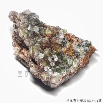 河北聚形螢石1016-14號-地質專業礦洞精選系列 Fluorit 榮耀十字星系列與紫陽花系列(繡球花)