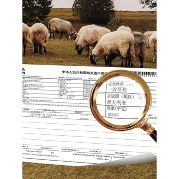 佳麗斯澳洲羊毛冬被子加厚保暖家用美利奴羊毛被芯正品可選子母被