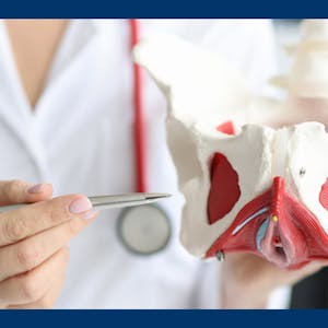 Anatomy of the Chest, Neck, Abdomen, and Pelvis