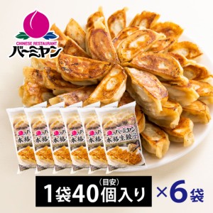 すかいらーく 通販 バーミヤン 餃子 ぎょうざ ギョウザ 冷凍 6袋 240個(餃子のタレ無) 目安40個入り 1個約23g 満足サイズ 国内工場製造