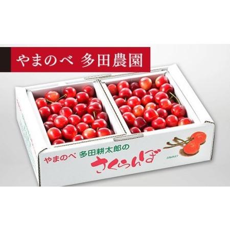 ふるさと納税 《先行予約》2024年 山形県産 紅さやか バラ詰め(パック）1kg M〜L やまのべ多田耕太郎のさくらんぼ F4A-0343 山形県中山町