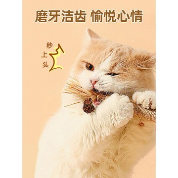 【48時熱賣】木天蓼磨牙棒貓玩具自嗨解悶神器貓薄荷蟲癭果逗貓棒小貓用品