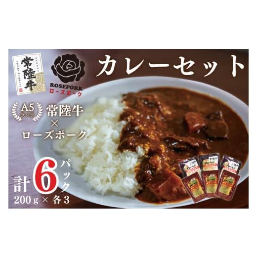 ふるさと納税 茨城県 行方市 DT-50カレー３袋＋カレー３袋