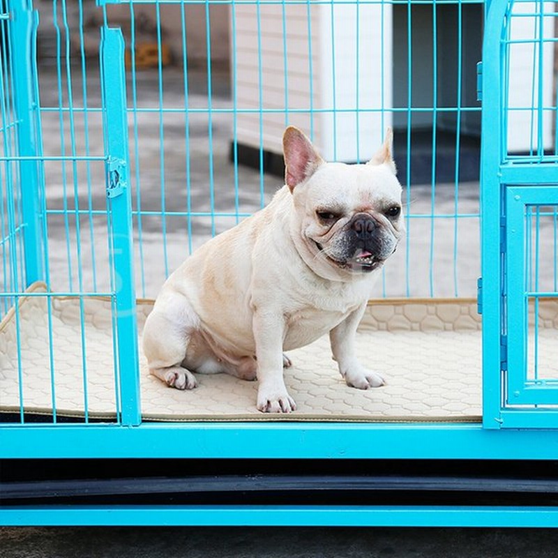 子犬パッド 犬 ペット トレーニング おしっこパッド 吸収性 通気性 再利用可能 通販 Lineポイント最大0 5 Get Lineショッピング