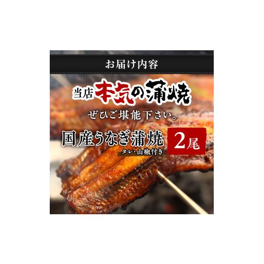 ふるさと納税 静岡県 湖西市 特撰うなぎ蒲焼き140g×2尾入り