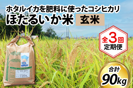 ほたるいか米（玄米30kg）×3回 計90kg