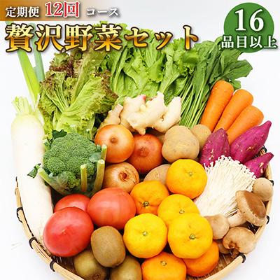 ふるさと納税 雲仙市 雲仙の野菜 16品目以上 フルーツ・キノコ付きの野菜セット 全12回