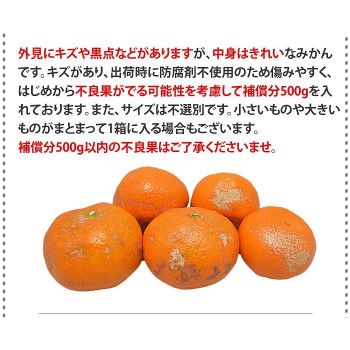 みかん 送料無料 10kg 訳あり 内容量9kg 補償分500g  規格外 サイズ不選別 熊本県産  温州 は大玉傾向 ミカン 蜜柑 ご自宅用 ポイント消化