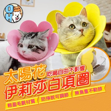 【歐豆K】伊莉莎白圈 防舔頭套 防咬頭套 太陽花圈 可調尺寸 輕薄頭套 貓咪頭套 貓咪防舔咬 絕育防舔狗狗頭套