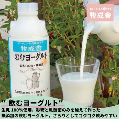 ふるさと納税 飛騨市 飛騨の牛乳屋・牧成舎の飛騨産生乳100%使用!低温殺菌牛乳3本のむヨーグルト2本