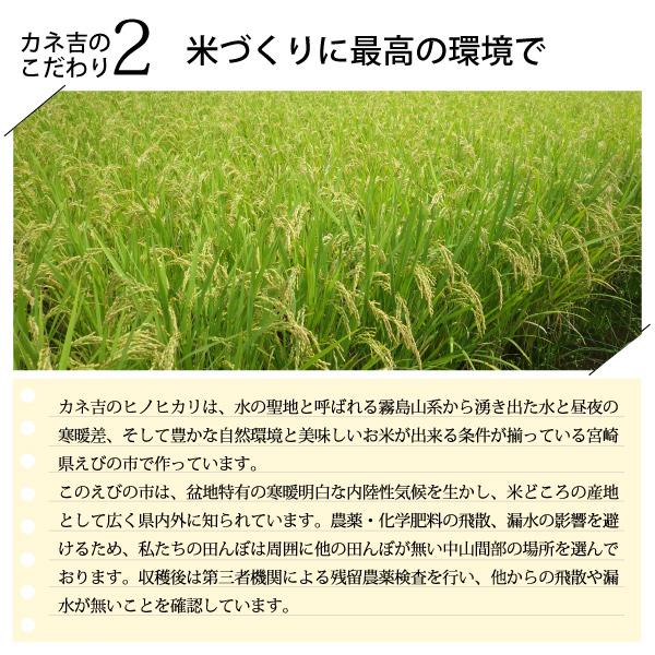 令和5年宮崎県産ヒノヒカリ9kg（4.5kg×2袋）／単一原料米