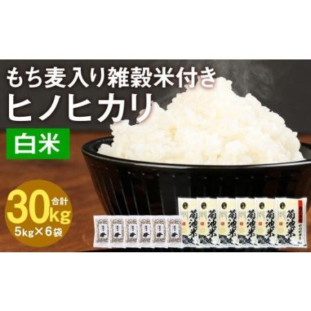 ふるさと納税 熊本県菊池産 ヒノヒカリ 精米 計30kg(5kg×6袋) もち麦入り雑穀米 計1.2kg(200g×6袋)米 お米 低温保管 残留農薬ゼロ 熊本県菊池市