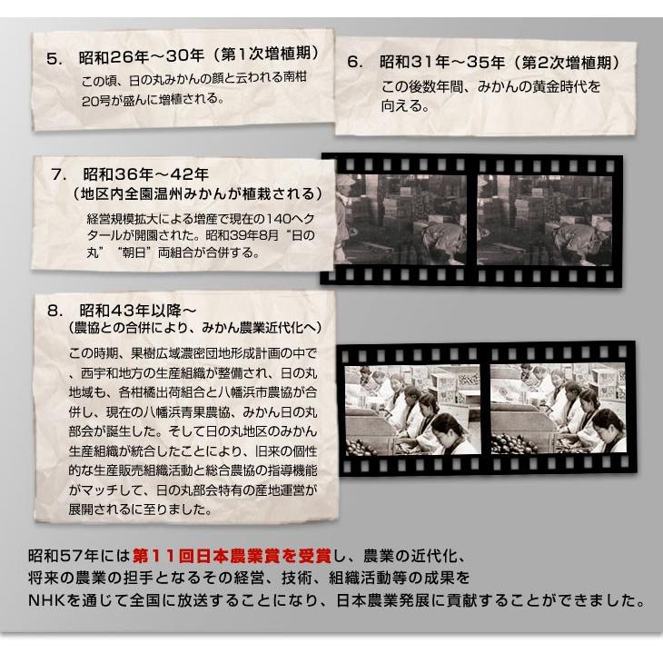 愛媛県より産地直送 JAにしうわ 日の丸みかん ガキ大将 LからＳサイズ 5キロ(40玉から60玉) 送料無料   蜜柑 ミカン