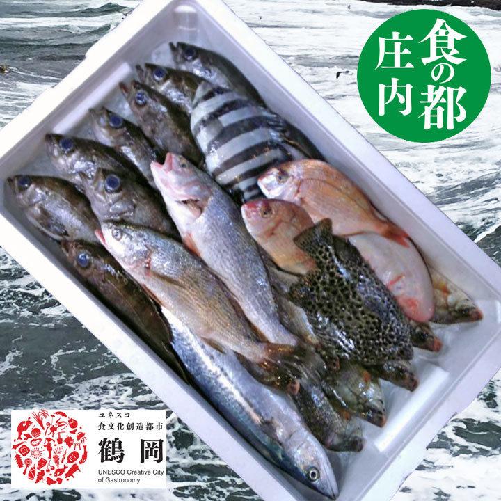 鮮魚セット A 山形県庄内産 鮮魚ボックス 詰め合わせ box 直送 魚 食の都庄内