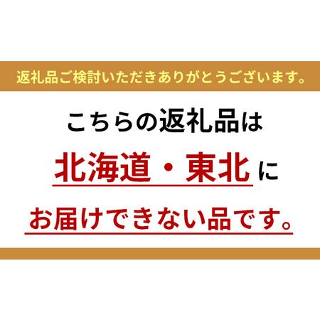 ふるさと納税 いちご かおりの苺 280g×2パック 配送不可 北海道 東北 福岡県朝倉市