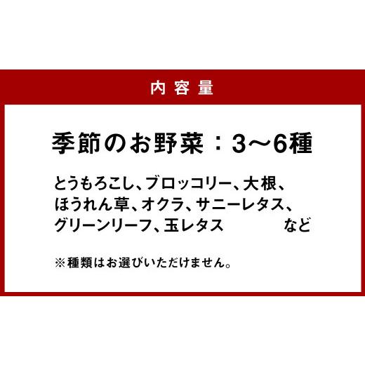 ふるさと納税 福岡県 大刀洗町 レピスリィ☆ベジBOX 季節のお野菜 3〜6種類 詰め合わせ