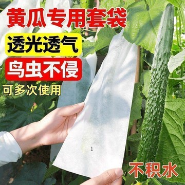 臺灣出🚚無紡布包瓜苦瓜絲瓜防蟲網袋套袋羊角蜜保護袋防針蜂防果蠅瓜果袋629