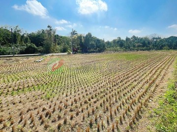 西屯都計內臨10米路有水有電超美農地｜台中市西屯區永安