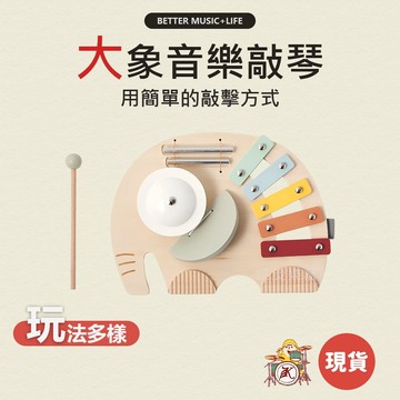 敲琴 音樂玩具 木琴 鐵琴 樂器玩具 兒童樂器 打擊樂器 奧福樂器 寶寶樂器 幼兒樂器 嬰兒樂器 奧福音樂 鐵琴玩具