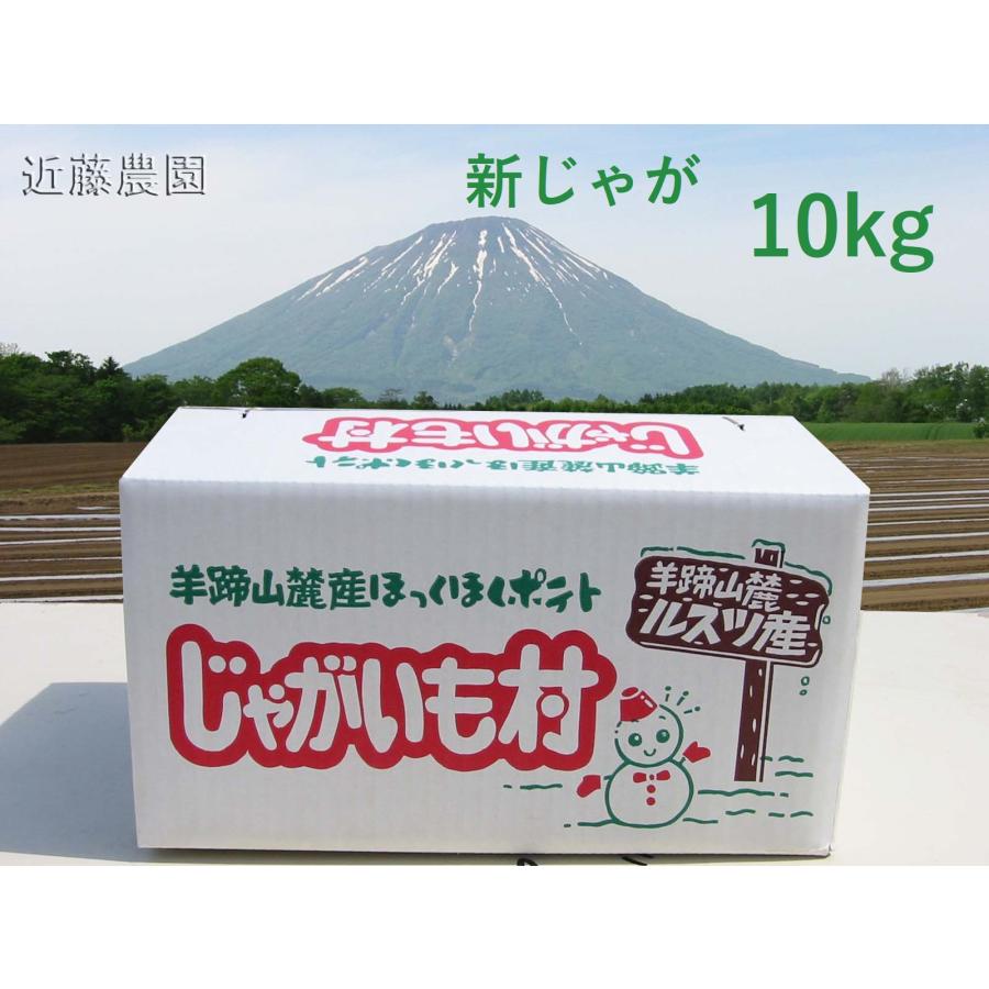 (農家直送)北海道羊蹄山麓産 10kg