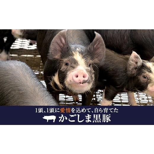 ふるさと納税 鹿児島県 薩摩川内市 GS-009 かごしま黒豚 人気のロース味噌漬けとロース肉の厚切りのセット 薩摩八重ファーム みかく亭