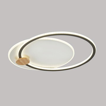 吸頂燈 B122-62-K1213