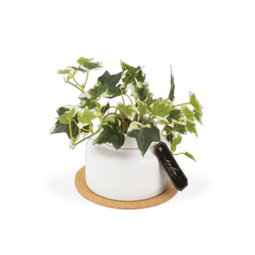 日本 KISHIMA - CT觸媒 消臭仿真盆栽-小白瓶-常春藤 (M(24x13x13cm))-KH-61252