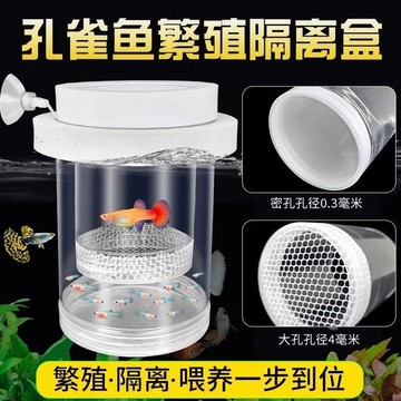 🚚臺灣出🚚孔雀魚繁殖隔離盒產卵桶母魚孵化網產房小魚幼魚隔離透明產子產箱