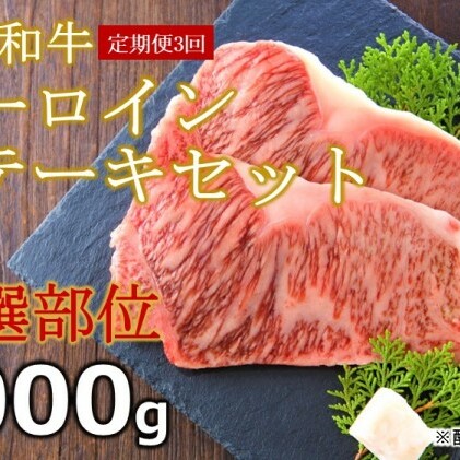 定期便 3ヶ月 牛肉 サーロイン ステーキ 合計1000g 博多和牛 A4～A5（250g×4枚）セット 3回 配送不可：離島