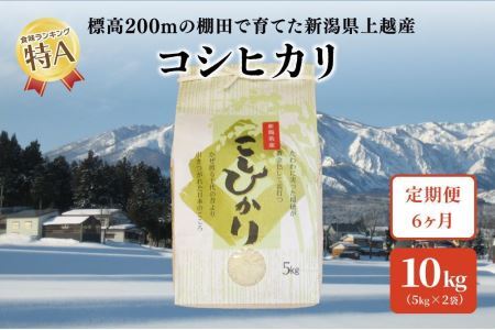 6ヶ月連続定期便発送｜新潟県上越市中郷産 従来種コシヒカリ精米10kg（5kg×2袋）×全6回