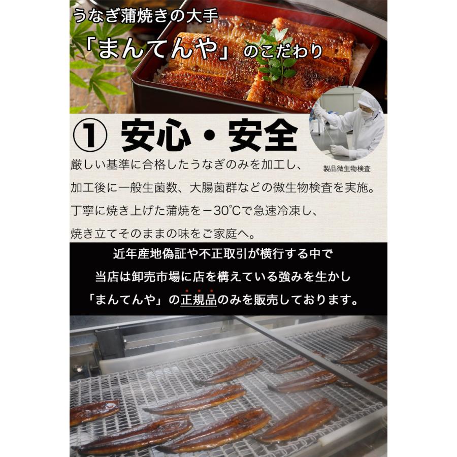 ギフト うなぎ まんてんや 国産 鹿児島 うなぎ蒲焼き 送料無料 鹿児島県産 うなぎ蒲焼き 2尾セット 400g ウナギ 母の日 父の日 ギフト 海産物