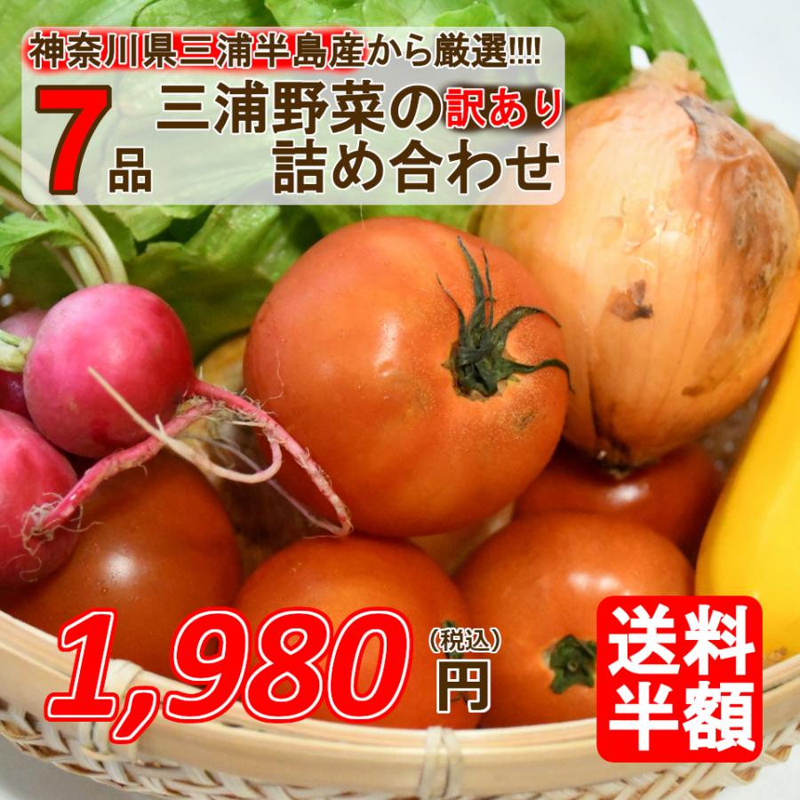 三浦半島直送 訳あり おまかせ 神奈川県産野菜セット 7品 旬の野菜詰め合せ お任せ野菜詰め合わせ 野菜盛り合わせ 送料半額