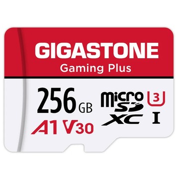 GIGASTONE 立達 遊戲專用記憶卡 A1 V30 U3  256GB  1個