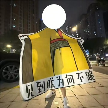 皇帝龍圖毯子見到朕為何不跪毯整蠱龍圖皇帝午休毯抽象神經毛絨毯
